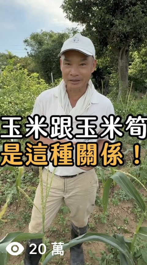 農場 短影音，觀看 20萬