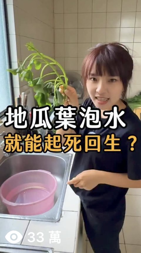 農場 短影音，觀看 33萬