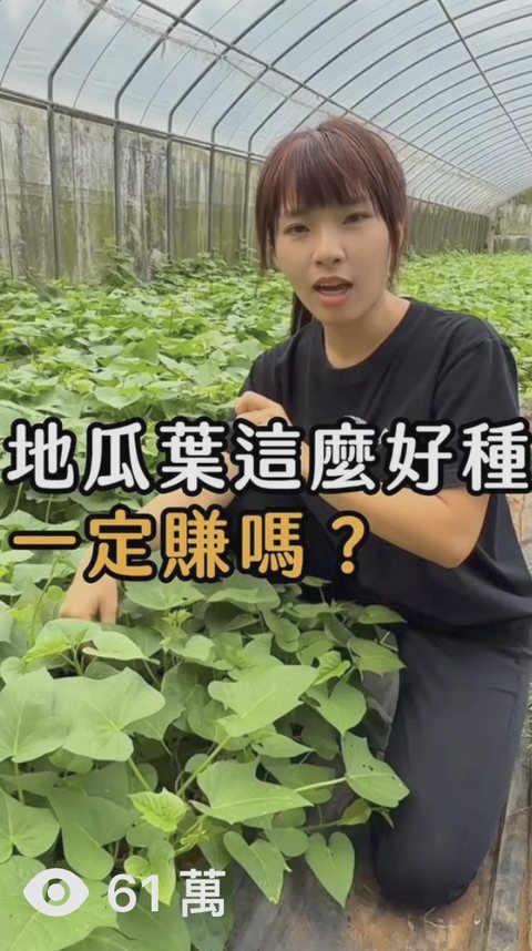 農場 短影音，觀看 61萬