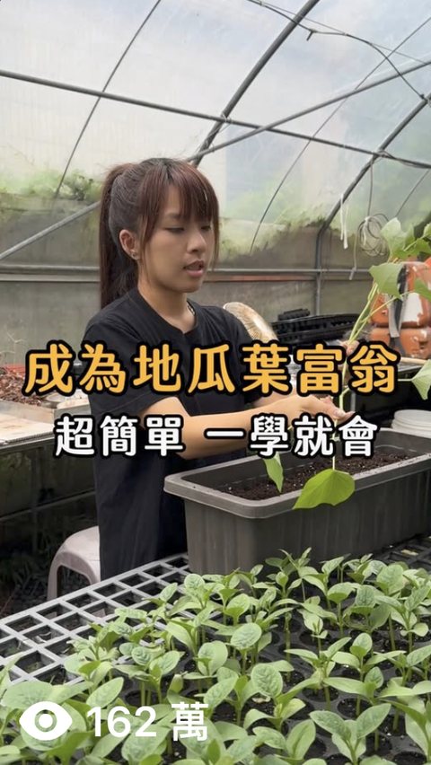 有機農場 牛埔有機農場 短影音，觀看 162萬