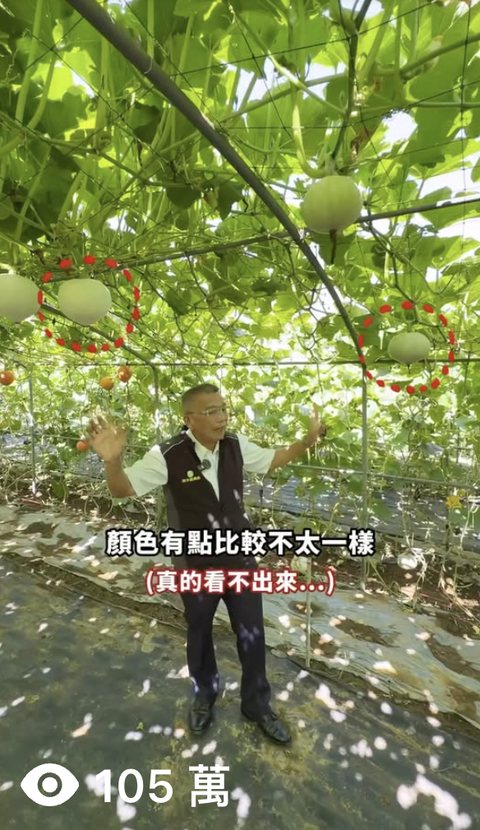在地農會 淡水區農會 短影音，觀看 105萬